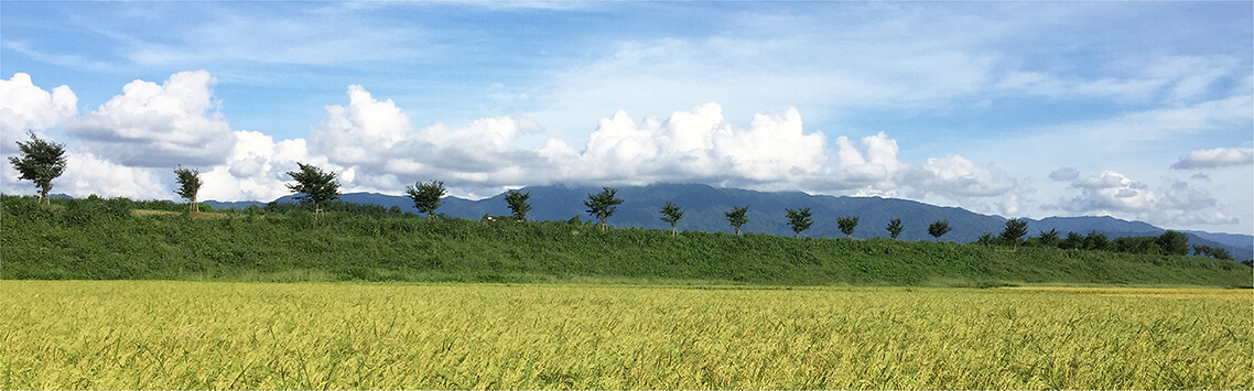 風景画像