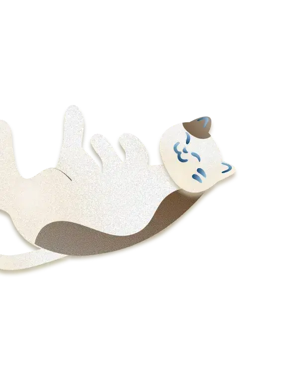 猫のイラスト